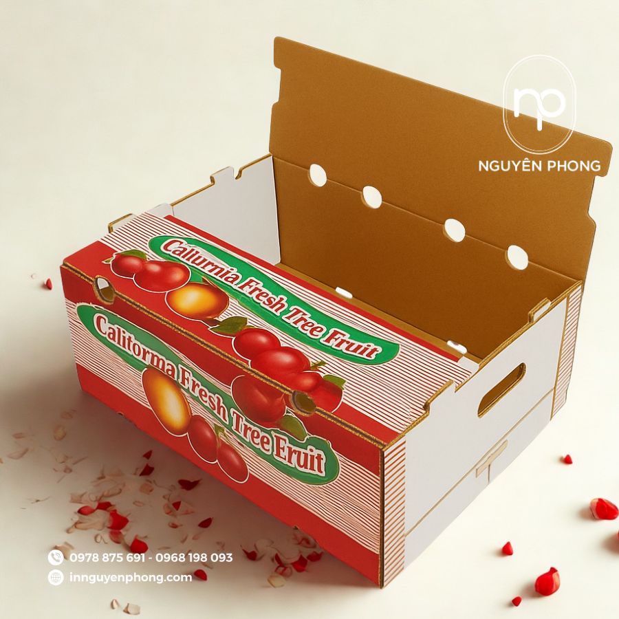 in-hop-carton dung-xoai-gia-re-tai=ha-noi
